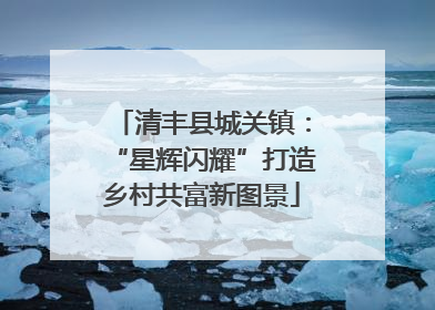 清丰县城关镇：“星辉闪耀”打造乡村共富新图景