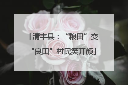 清丰县：“粮田”变“良田”村民笑开颜