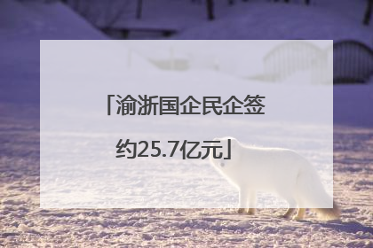 渝浙国企民企签约25.7亿元