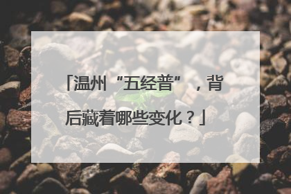 温州“五经普”，背后藏着哪些变化？