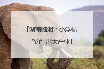 湖南临湘：小浮标“钓”出大产业