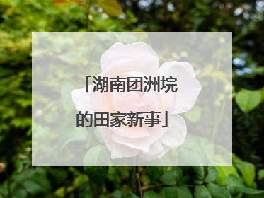 湖南团洲垸的田家新事