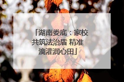湖南娄底：家校共筑法治盾 精准滴灌润心田