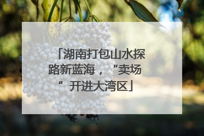湖南打包山水探路新蓝海，“卖场”开进大湾区