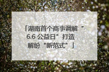 湖南首个商事调解“6.6 公益日”打造解纷“新范式”