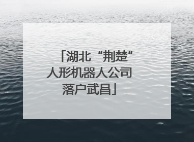 湖北“荆楚”人形机器人公司落户武昌