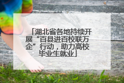 湖北省各地持续开展“百县进百校联万企”行动，助力高校毕业生就业