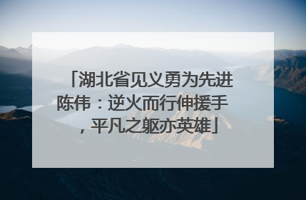 湖北省见义勇为先进陈伟：逆火而行伸援手，平凡之躯亦英雄