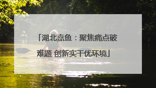 湖北嘉鱼：聚焦痛点破难题 创新实干优环境