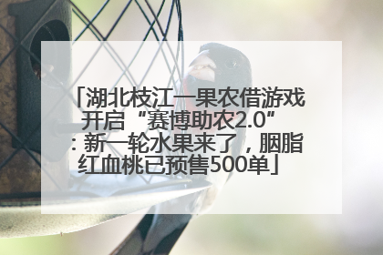 湖北枝江一果农借游戏开启“赛博助农2.0”：新一轮水果来了，胭脂红血桃已预售500单