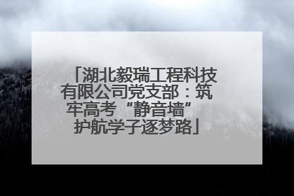 湖北毅瑞工程科技有限公司党支部：筑牢高考“静音墙” 护航学子逐梦路