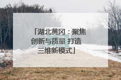 湖北黄冈：聚焦创新与质量 打造三维新模式
