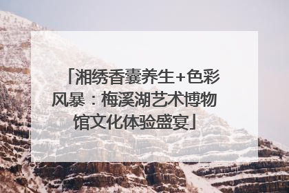 湘绣香囊养生+色彩风暴：梅溪湖艺术博物馆文化体验盛宴
