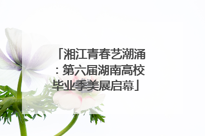 湘江青春艺潮涌：第六届湖南高校毕业季美展启幕