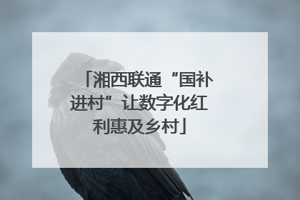 湘西联通“国补进村”让数字化红利惠及乡村