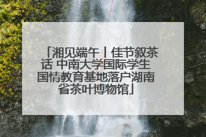 湘见端午丨佳节叙茶话 中南大学国际学生国情教育基地落户湖南省茶叶博物馆