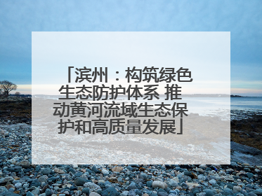 滨州：构筑绿色生态防护体系 推动黄河流域生态保护和高质量发展
