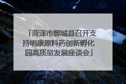 菏泽市鄄城县召开支持明康原料药创新孵化园高质量发展座谈会