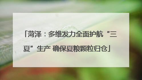 菏泽：多维发力全面护航“三夏”生产 确保夏粮颗粒归仓