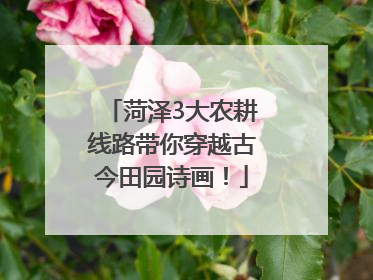菏泽3大农耕线路带你穿越古今田园诗画！