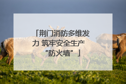 荆门消防多维发力 筑牢安全生产“防火墙”