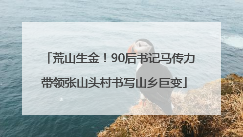 荒山生金！90后书记马传力带领张山头村书写山乡巨变