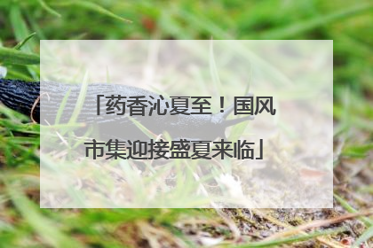 药香沁夏至！国风市集迎接盛夏来临