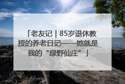 老友记｜85岁退休教授的养老日记——她就是我的“绿野仙庄”