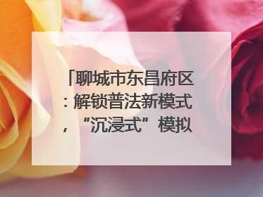 聊城市东昌府区：解锁普法新模式，“沉浸式”模拟法庭进社区