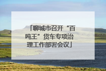 聊城市召开“百吨王”货车专项治理工作部署会议