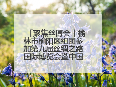 聚焦丝博会丨榆林市榆阳区组团参加第九届丝绸之路国际博览会暨中国东西部合作与投资贸易洽谈会