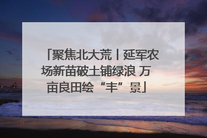 聚焦北大荒丨延军农场新苗破土铺绿浪 万亩良田绘“丰”景