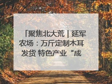 聚焦北大荒｜延军农场：万斤定制木耳发货 特色产业“成绩单”亮眼