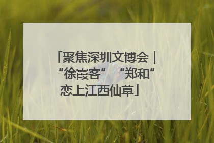 聚焦深圳文博会｜“徐霞客”“郑和”恋上江西仙草