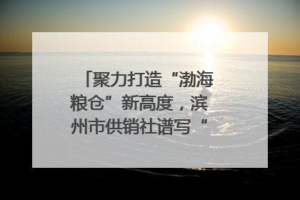 聚力打造“渤海粮仓”新高度，滨州市供销社谱写“三夏”丰收乐章