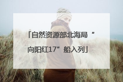 自然资源部北海局“向阳红17”船入列