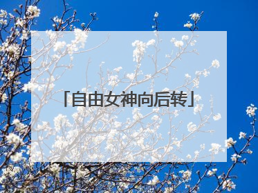 自由女神向后转