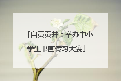 自贡贡井：举办中小学生书画传习大赛