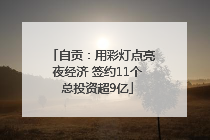 自贡：用彩灯点亮夜经济 签约11个总投资超9亿