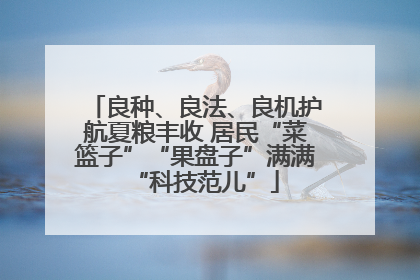 良种、良法、良机护航夏粮丰收 居民“菜篮子”“果盘子”满满“科技范儿”