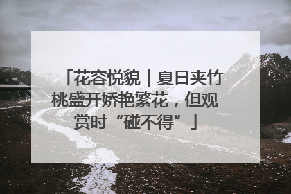 花容悦貌｜夏日夹竹桃盛开娇艳繁花，但观赏时“碰不得”