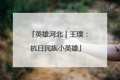 英雄河北｜王璞：抗日民族小英雄