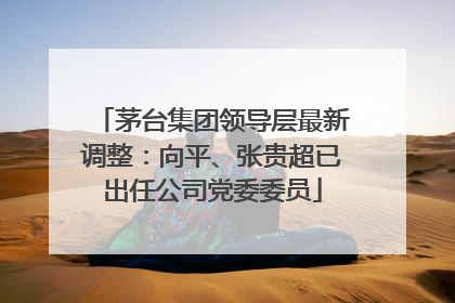 茅台集团领导层最新调整：向平、张贵超已出任公司党委委员