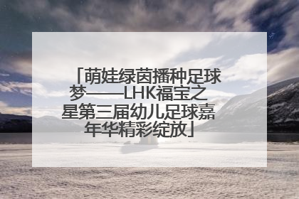 萌娃绿茵播种足球梦——LHK福宝之星第三届幼儿足球嘉年华精彩绽放