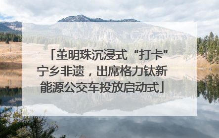 董明珠沉浸式“打卡”宁乡非遗，出席格力钛新能源公交车投放启动式