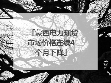 蒙西电力现货市场价格连续4个月下降