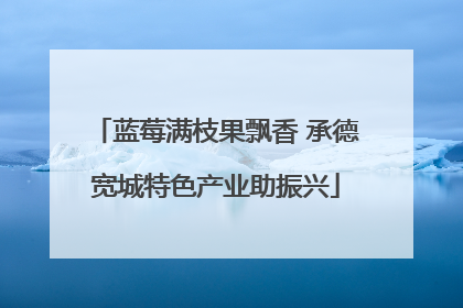 蓝莓满枝果飘香 承德宽城特色产业助振兴