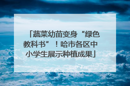 蔬菜幼苗变身“绿色教科书”！哈市各区中小学生展示种植成果