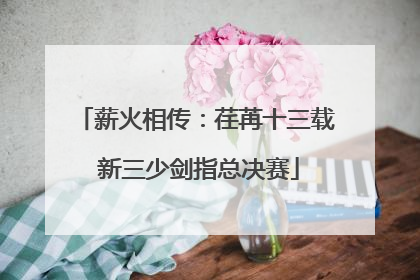 薪火相传：荏苒十三载 新三少剑指总决赛