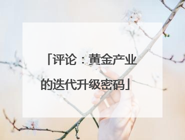评论：黄金产业的迭代升级密码